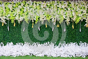 Backdrop for wedding