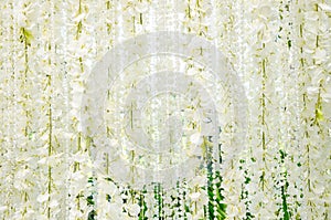 Backdrop for wedding white flowers