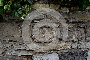 Backdround of ancient brown stones of different size and green leaves hanging down,