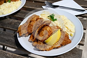 Backfisch Deep Fried Fish with Potato Salad