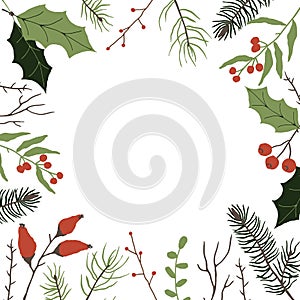 Backgraund with winter floral elements. Frame for text. winter floral decoration element with pine, leaves, berries and