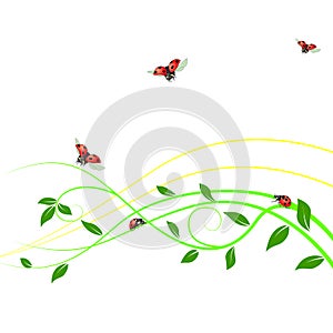 2719 background, Abstract background, floral ornament, green branch with leaves, ladybugs, wallpaper