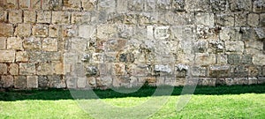 Background with an ancient wall and green grass lit by the sun