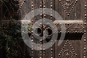 Background with an ancient wooden door with metallic round knobs