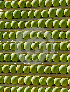 Background of apples. Stand of ripe fruit.