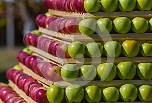 Background of apples. Stand of ripe fruit.