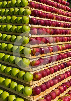 Background of apples. Stand of ripe fruit.