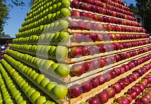 Background of apples. Stand of ripe fruit.