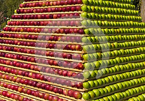 Background of apples. Stand of ripe fruit.