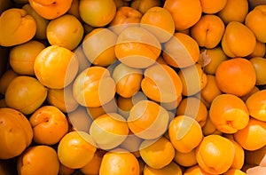 Background of apricots