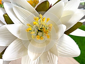 Background of artifial white flower