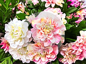 Background of artificial flowers