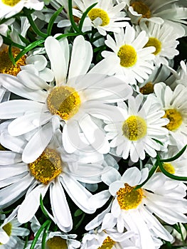 Background of artificial flowers