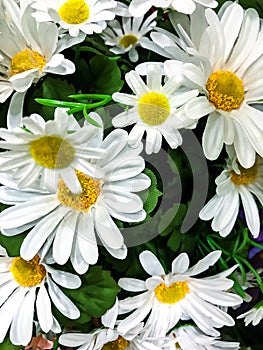 Background of artificial flowers