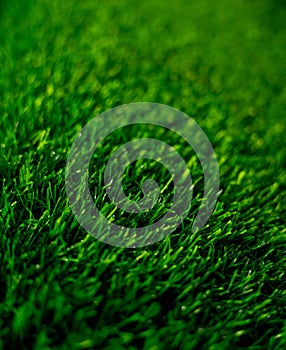 Background of artificial green grass at the showroom of a large store.
