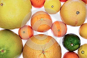 Background of assorted citrus fruit on white