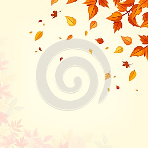 Background with autumn falling leaves. Vector illustration.