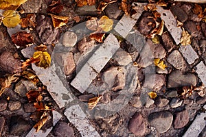 Background with autumn foliage. Foliage on the old pavement. Abstract background.