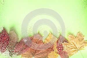 Background of autumn leaves behind a wet window