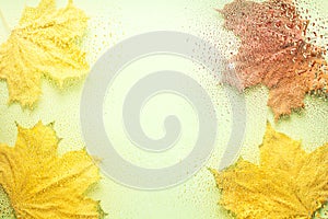 Background of autumn leaves behind a wet window