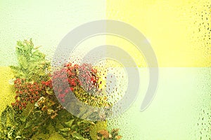 Background of autumn leaves behind a wet window