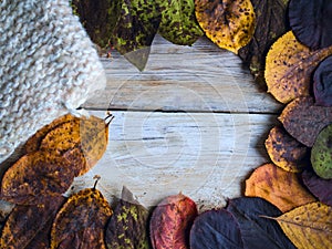 Background with autumn leaves and knitwork