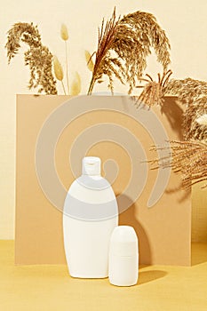 Background with autumn plants and bottle of cosmetic in pastel colors. Natural scin care concept