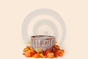 Newborn digital autumn background with pumpkins