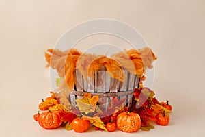 Newborn digital autumn background with pumpkins