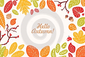 Background or backdrop with frame or border made of fallen dried leaves, acorns, cones, berries and Hello Autumn phrase