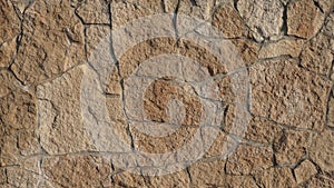 Background, background, texture stones, tree, fir, old masonry, beautiful masonry,