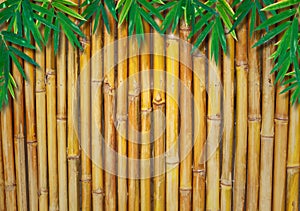 Background Of A Bamboo Fence with bamboo-leaves