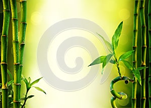 Background with bamboo for spa treatment