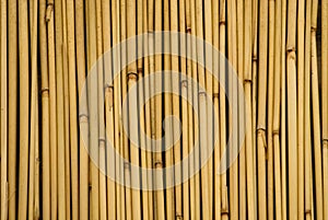 Background of bamboo sticks