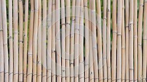 Background of a bamboo fence