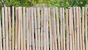 Background of a bamboo fence