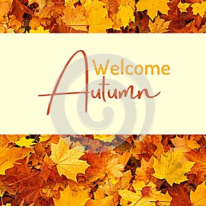 Background, banner o template with autumn maple leaves and the text Welcome autumn. Copy space. Related to September and seasonal