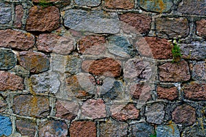 Background basement wall of gray hewn chipped large stoneswith grass samples