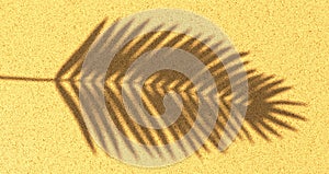 Background of beach sand from the shadow of a palm branch