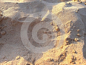 background of beach sand texture when exposed to sunlight in the afternoon