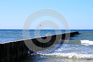 Background beach and Water szene