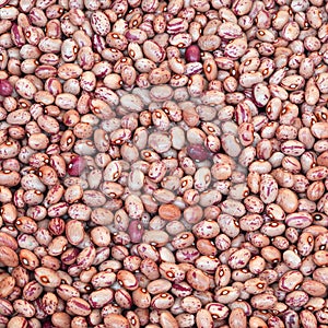 background of beans