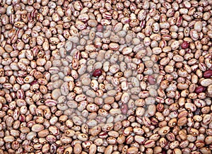 background of beans of pinto quality