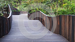 Wooden pathway in the garden