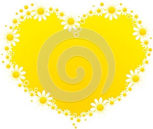 Background with beautiful camomil