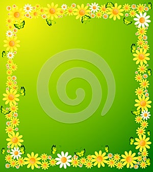 background with beautiful camomil