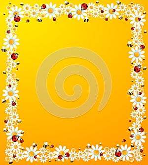 background with beautiful camomil