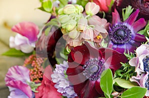 Background of beautiful different red purple flowers in the bouquet florist closeup