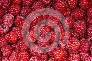 Background of a beautiful fresh raspberry. Healthy food. Vegetarianism.