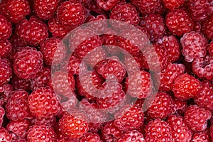 Background of a beautiful fresh raspberry. Healthy food. Vegetarianism.